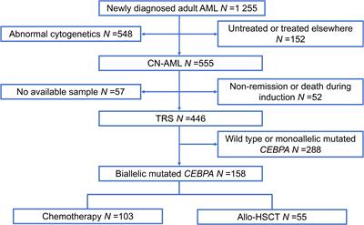 Frontiers Risk Stratification Of Cytogenetically Normal Acute Myeloid